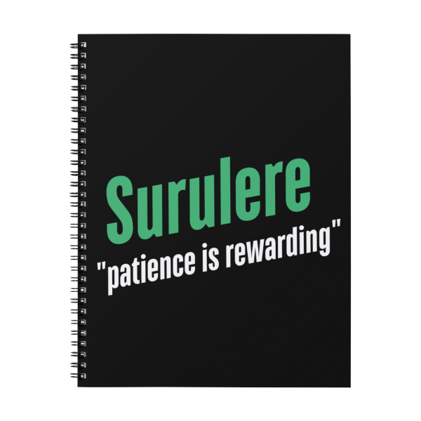 Surulere (Notebooks)